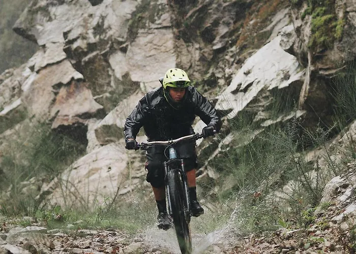 Casinha Ponte Nova *