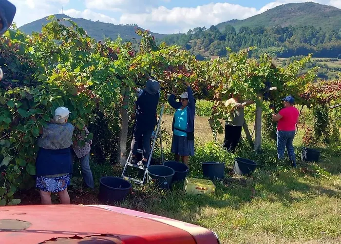 Casinha Ponte Nova * Monção