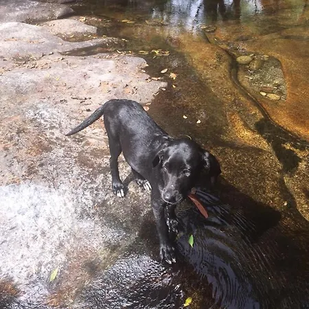 Casa vacanze Casinha Ponte Nova *