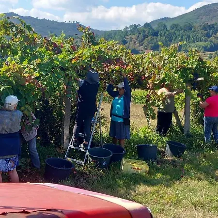 Casinha Ponte Nova * Монсан