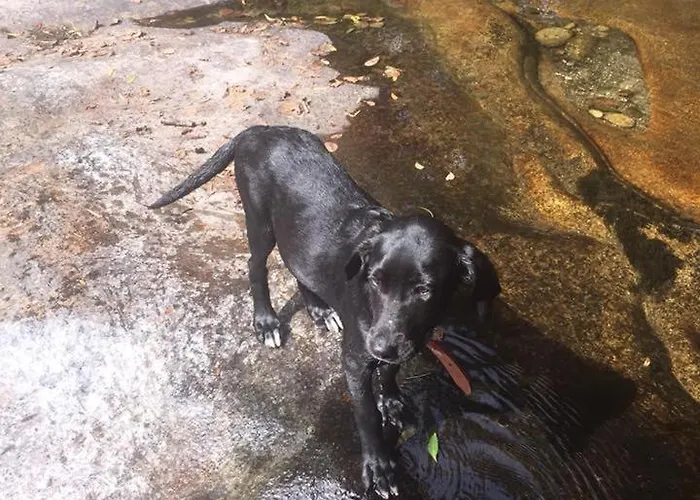 Holiday home Casinha Ponte Nova *